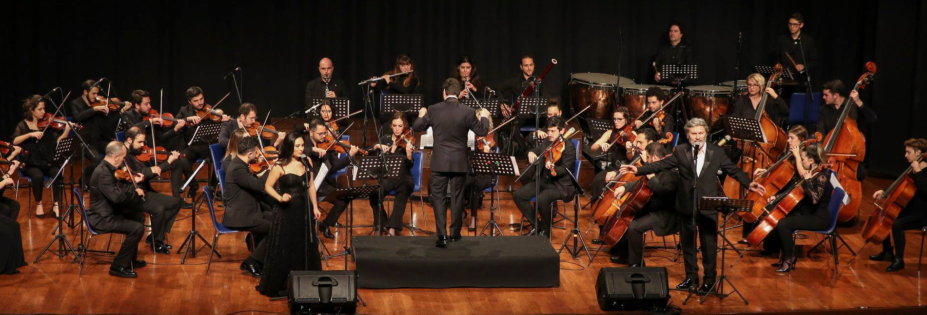Hasan Yükselir - Soloist & Composer
